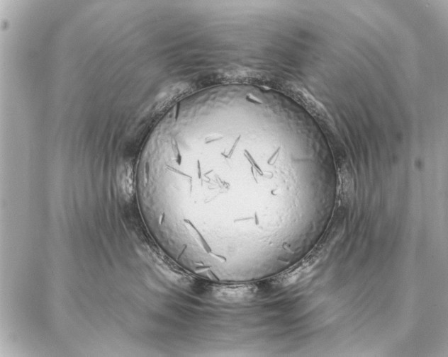 X0000087360479200705111649