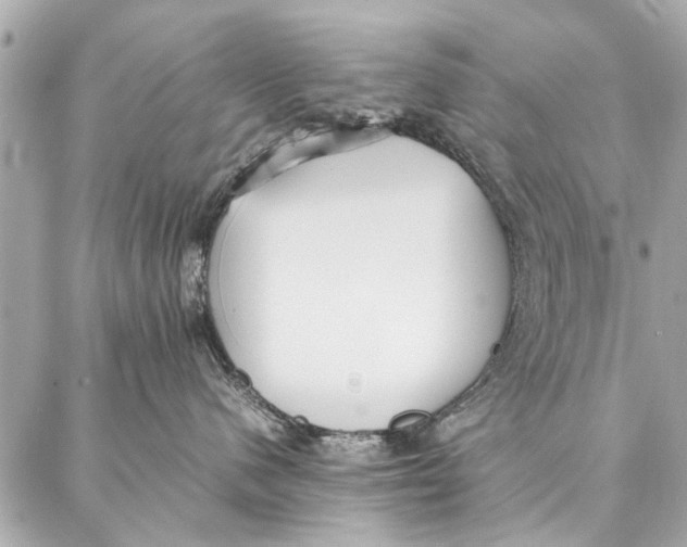 X0000087360480200705111649