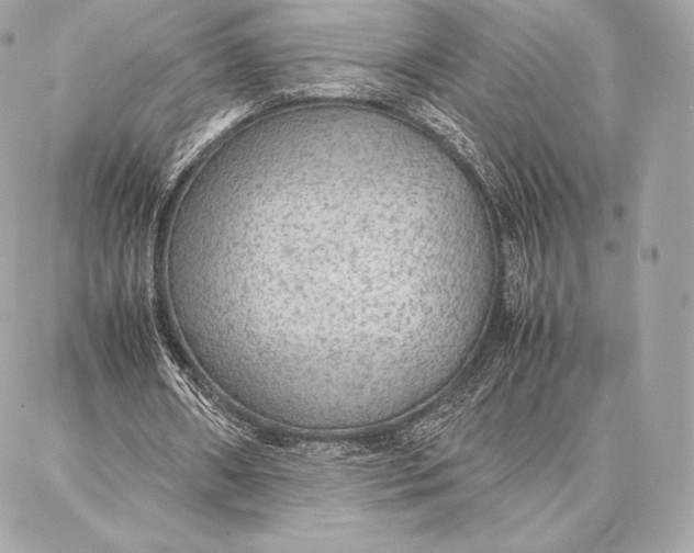 X0000087360482200705111649