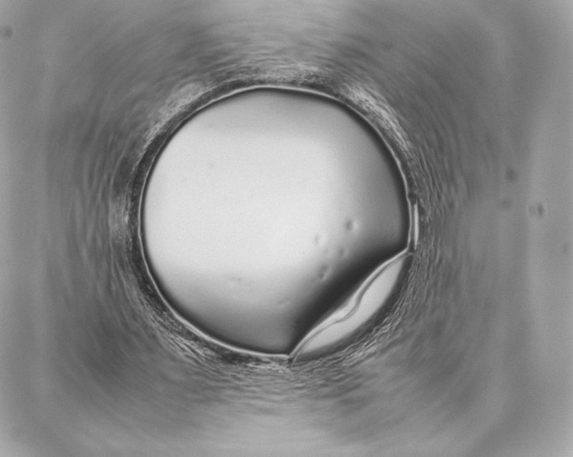 X0000087360483200705111649