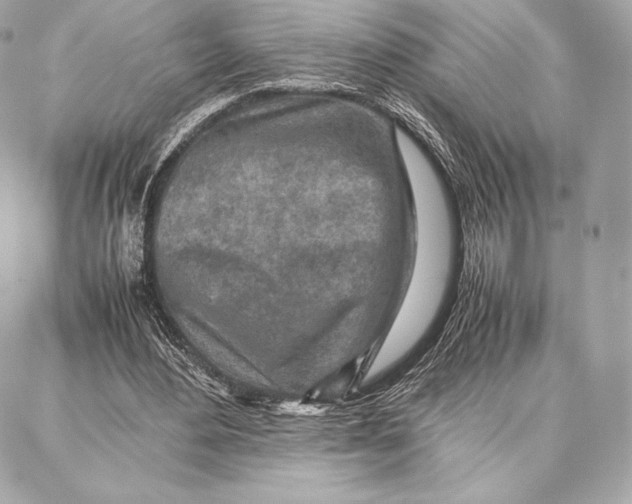 X0000087360484200705111649