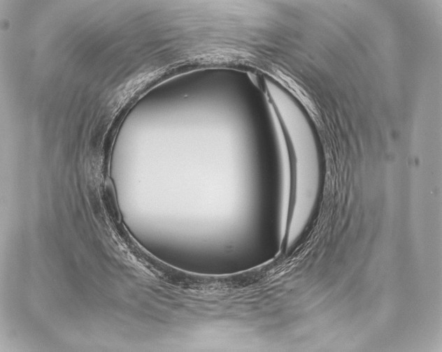 X0000087360485200705111649