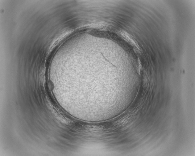 X0000087360486200705111649