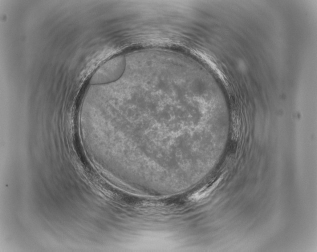 X0000087360487200705111649