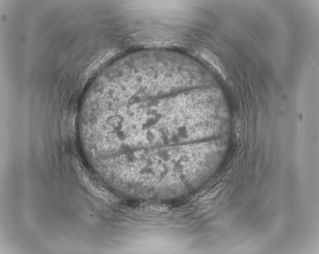 X0000087360491200705111648