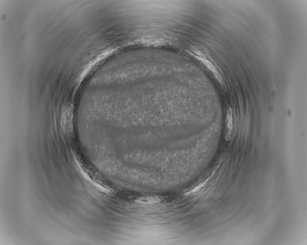 X0000087360492200705111648