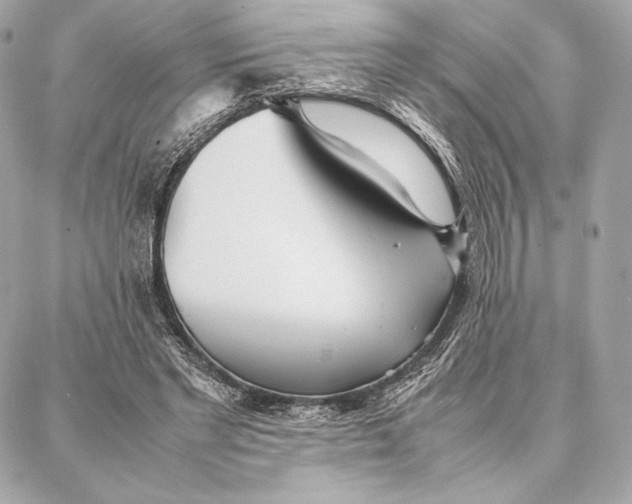 X0000087360493200705111648