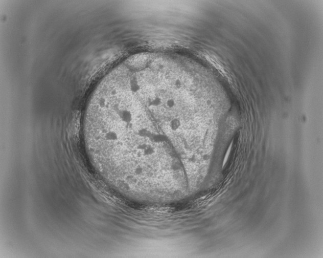 X0000087360495200705111648