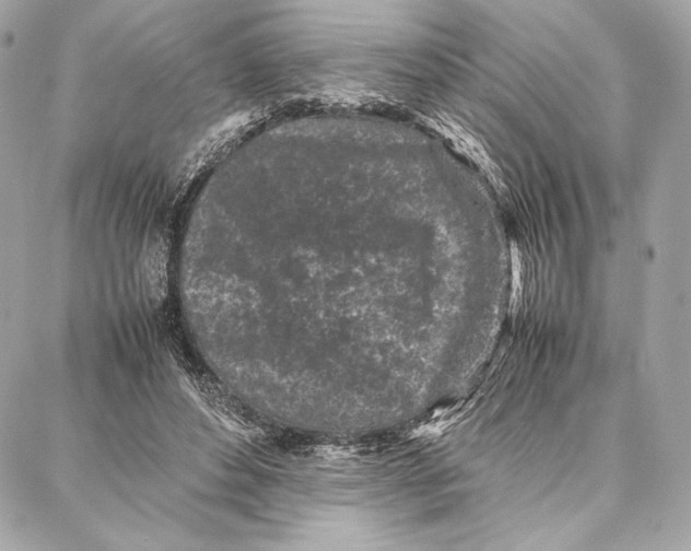 X0000087360496200705111648