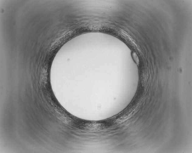 X0000087360497200705111648