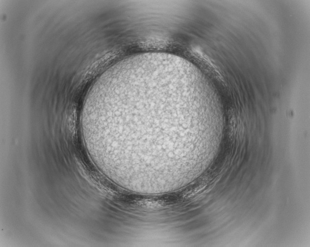 X0000087360498200705111648