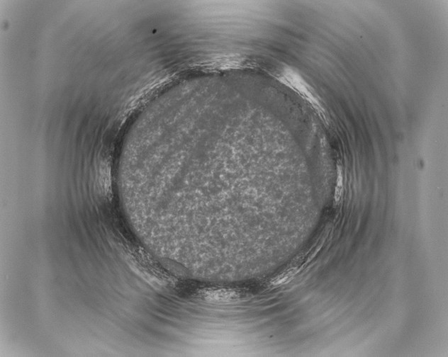 X0000087360500200705111648