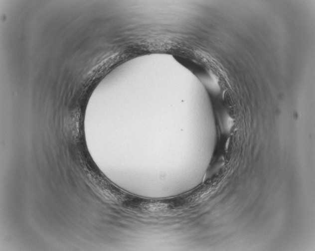 X0000087360501200705111648