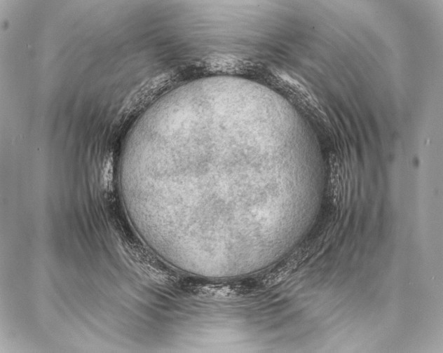 X0000087360502200705111648