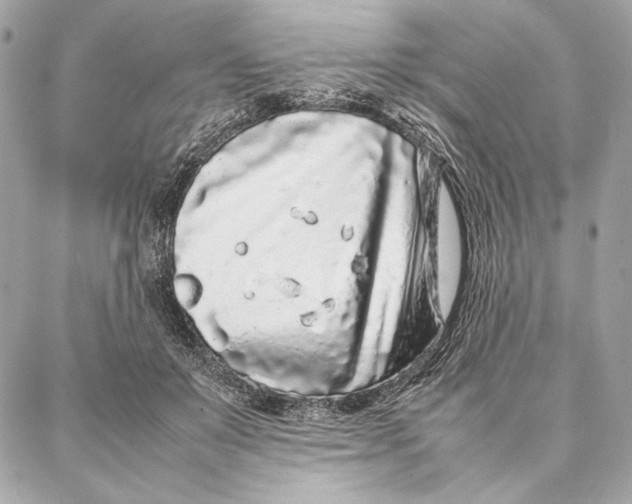 X0000087360503200705111648