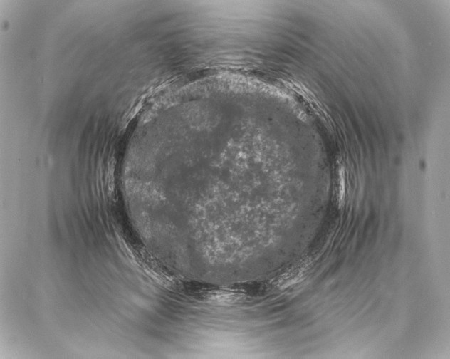 X0000087360504200705111648