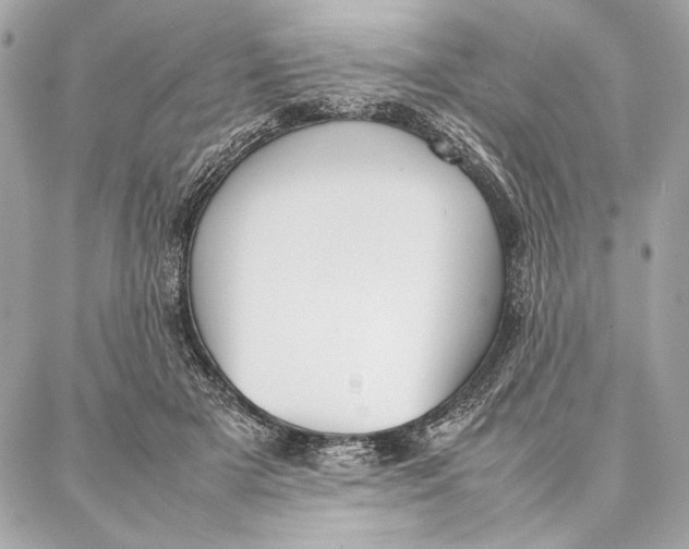 X0000087360505200705111648