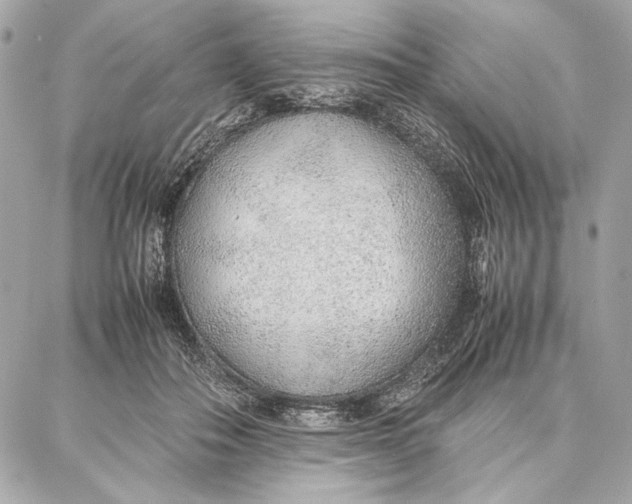 X0000087360506200705111648