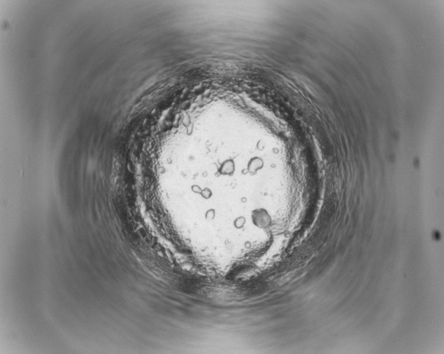 X0000087360507200705111648