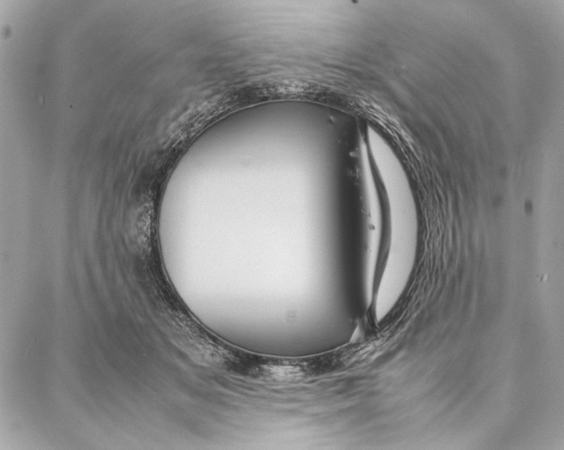 X0000087360509200705111648