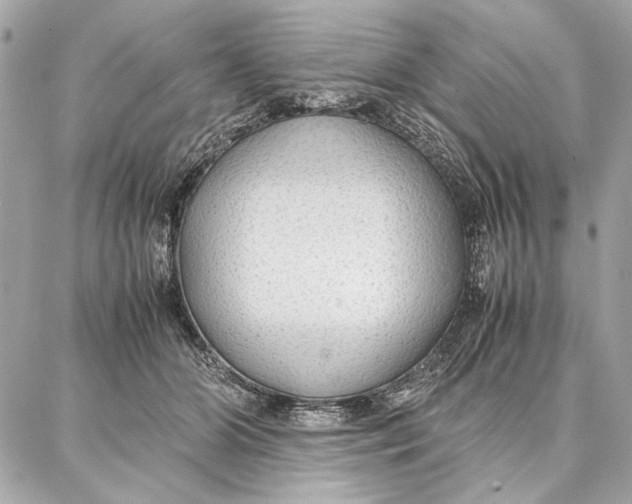 X0000087360510200705111648