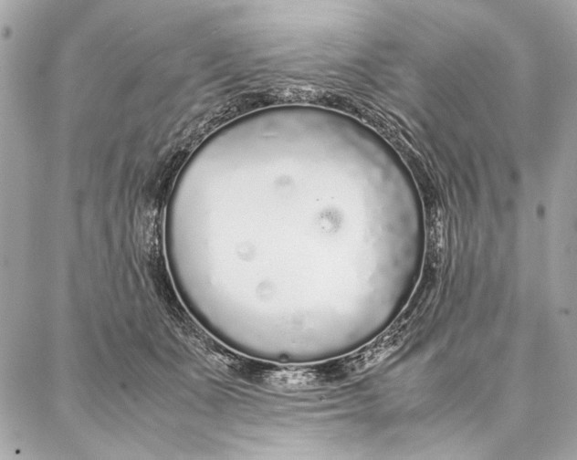 X0000087360511200705111648