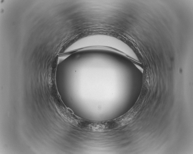 X0000087360512200705111648