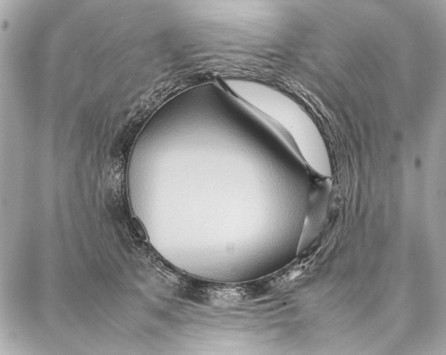 X0000087360513200705111648