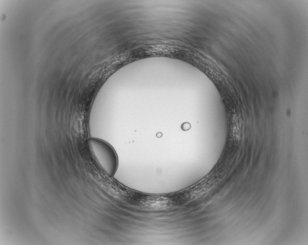 X0000087360514200705111648