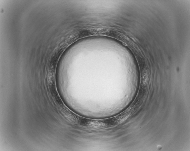 X0000087360515200705111648