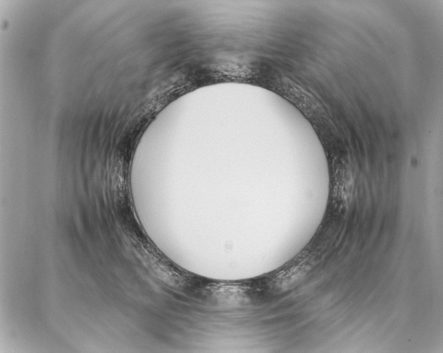 X0000087360518200705111648