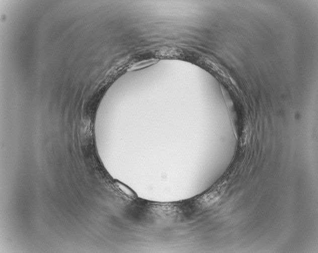 X0000087360521200705111648