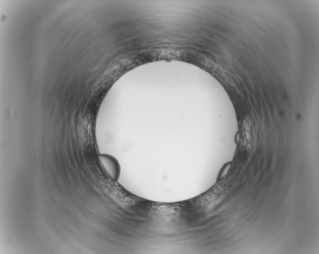 X0000087360522200705111648