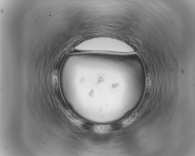 X0000087360527200705111648