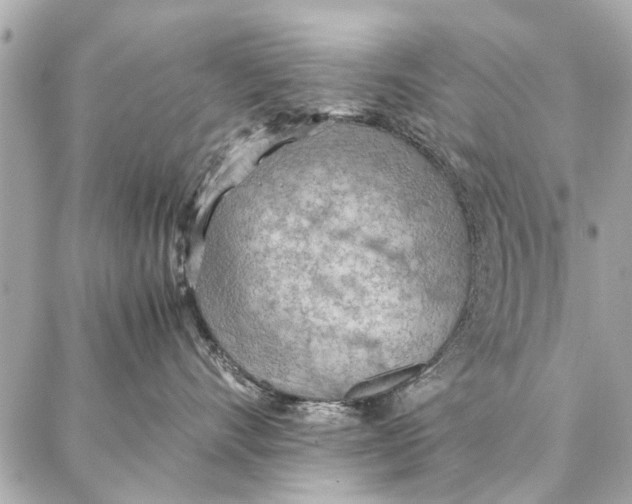 X0000087360528200705111648