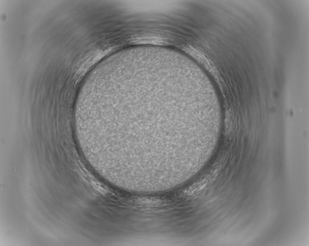 X0000087360529200705111647