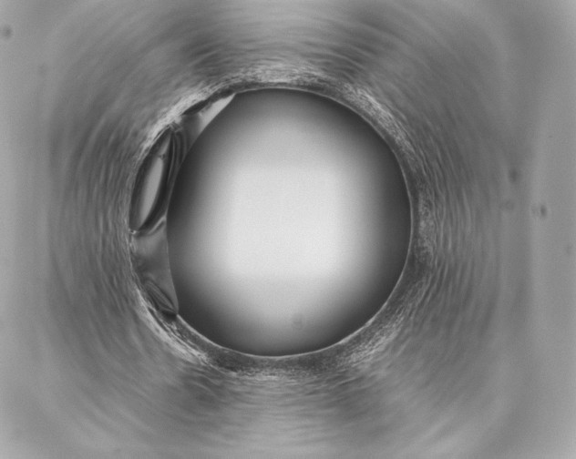 X0000087360530200705111647