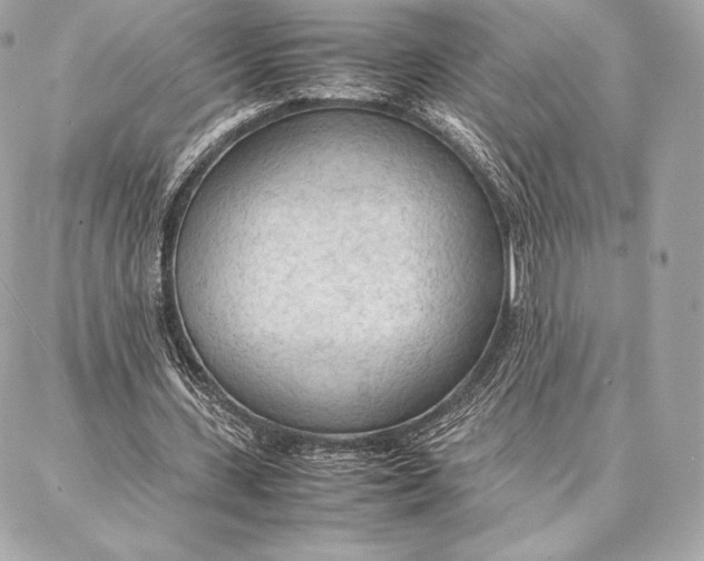 X0000087360531200705111647