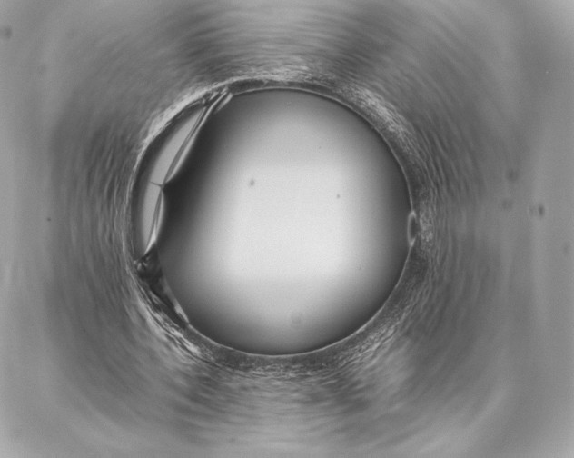 X0000087360532200705111647