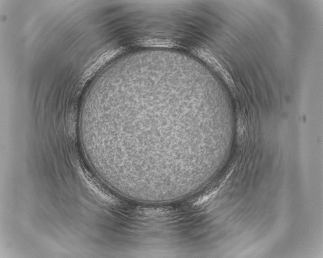 X0000087360533200705111647