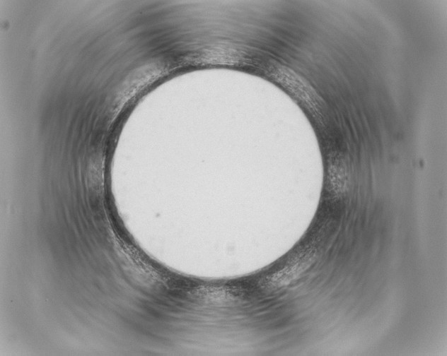 X0000087360534200705111647