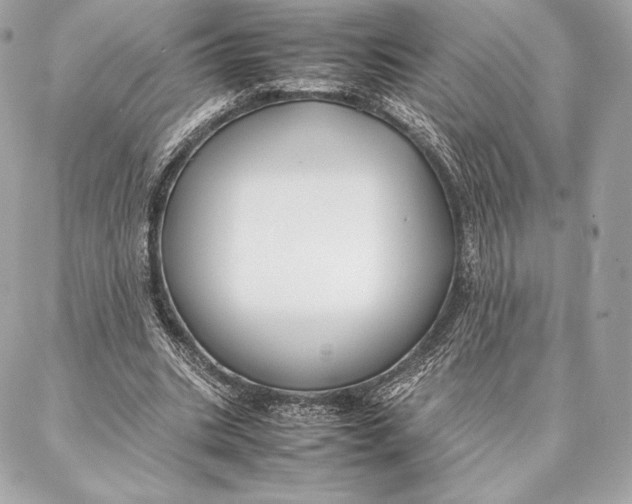 X0000087360535200705111647