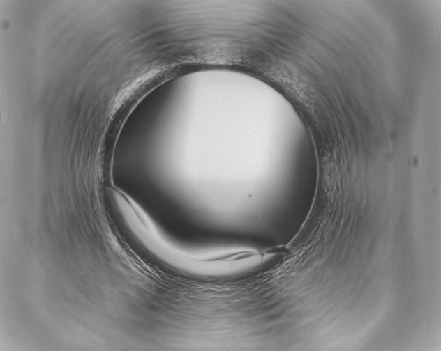 X0000087360536200705111647