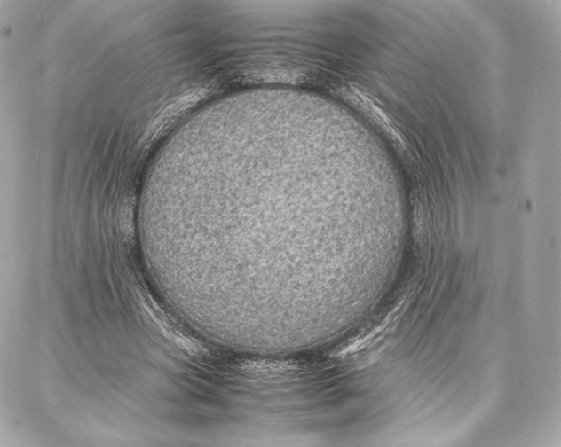 X0000087360537200705111647