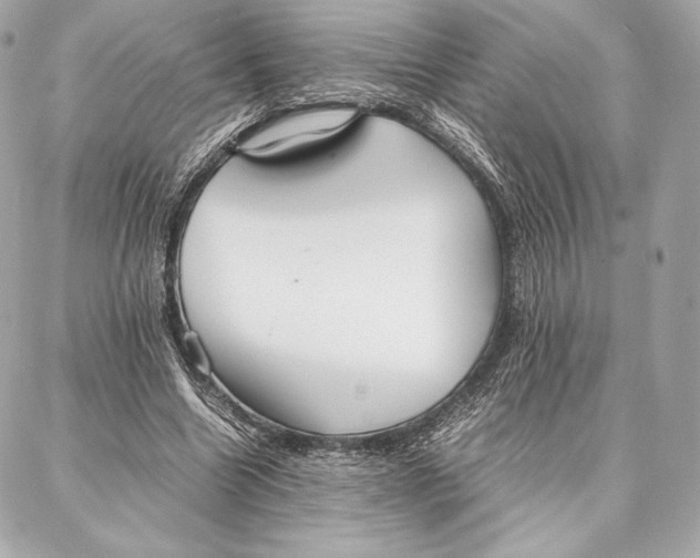 X0000087360538200705111647