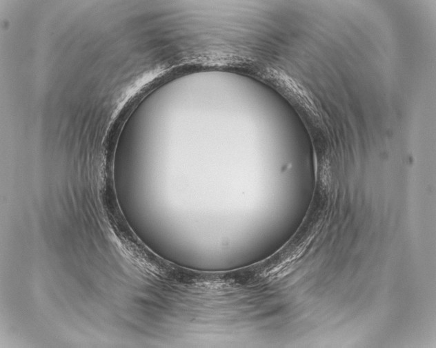 X0000087360540200705111647