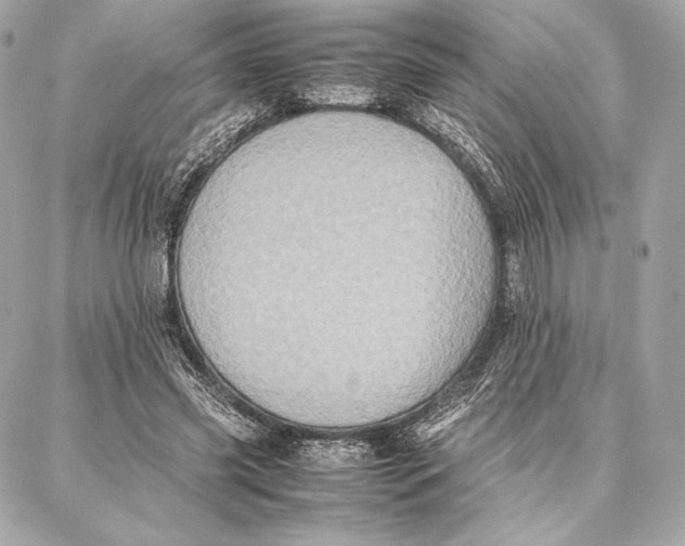 X0000087360541200705111647