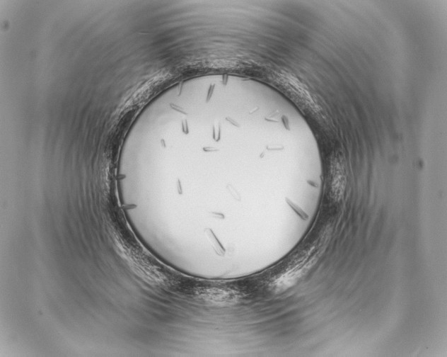 X0000087360542200705111647