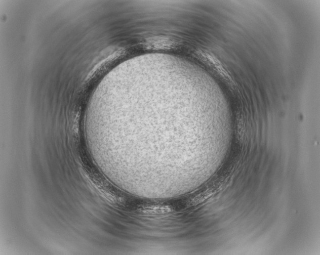 X0000087360543200705111647