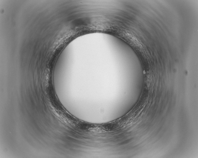 X0000087360544200705111647